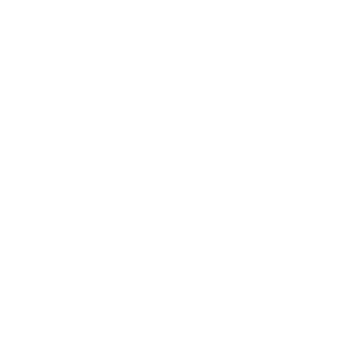 Sistemas Hidráulicos